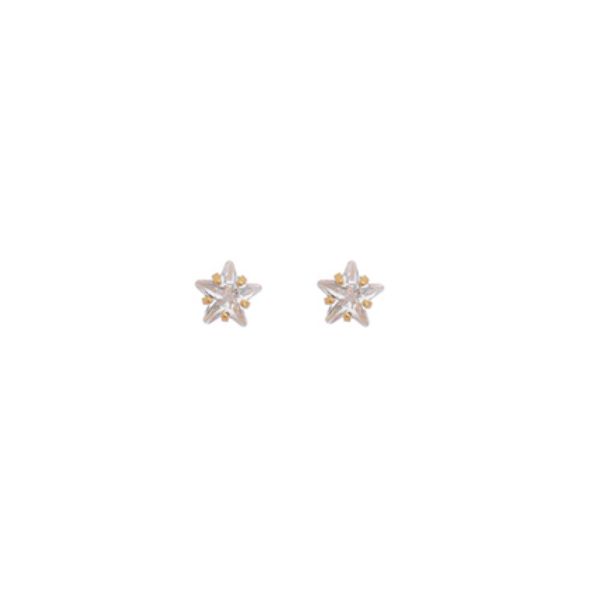 Imagem de Brinco estrela pedra 4x4mm zircônia - 0526996